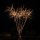 SNAYA 25-Schuss-Feuerwerk-Batterie